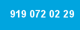 919 072 02 29